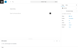 Page screenshot: Add Page &lsaquo; Test site &mdash; WordPress