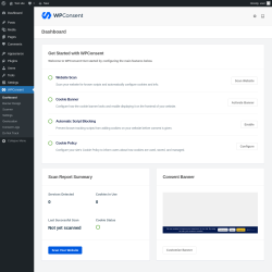 Page screenshot: WPConsent