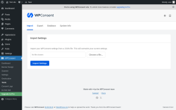 Page screenshot: WPConsent &rarr; Tools