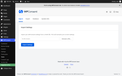 Page screenshot: WPConsent &rarr; Tools