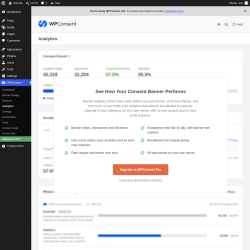Page screenshot: WPConsent &rarr; Analytics