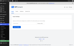 Page screenshot: WPConsent &rarr; Tools