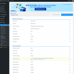 Page screenshot: wpDataTables → System info