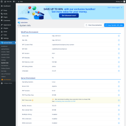 Page screenshot: wpDataTables &rarr; System info
