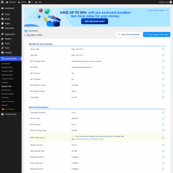 Page screenshot: wpDataTables &rarr; System info