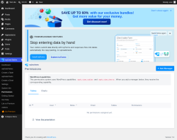 Page screenshot: wpDataTables &rarr; Permissions