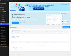 Page screenshot: wpDataTables &rarr; Permissions