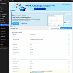 Page screenshot: wpDataTables &rarr; System info