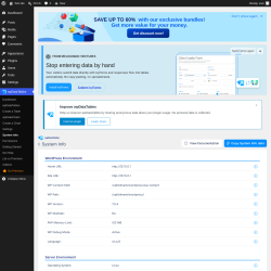 Page screenshot: wpDataTables &rarr; System info