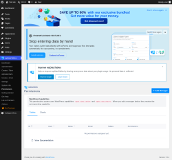 Page screenshot: wpDataTables &rarr; Permissions