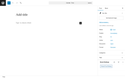 Page screenshot: Add Post ‹ Test site — WordPress