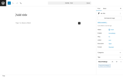 Page screenshot: Add Post &lsaquo; Test site &mdash; WordPress