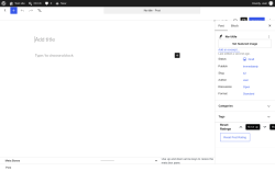 Page screenshot: Add Post &lsaquo; Test site &mdash; WordPress