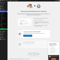 Page screenshot: WPForms &rarr; SMTP