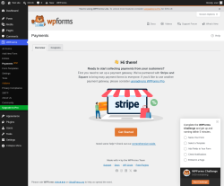 Page screenshot: WPForms &rarr; Payments&nbsp;NEW!