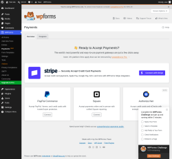 Page screenshot: WPForms &rarr; Payments&nbsp;NEW!