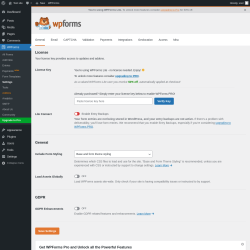 Page screenshot: WPForms &rarr; Settings