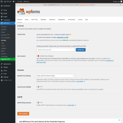 Page screenshot: WPForms → Settings