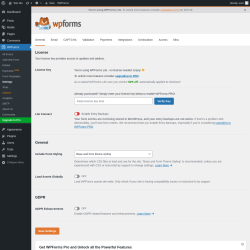 Page screenshot: WPForms → Settings