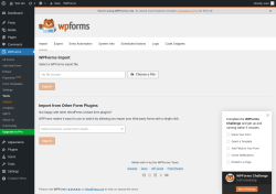 Page screenshot: WPForms → Tools