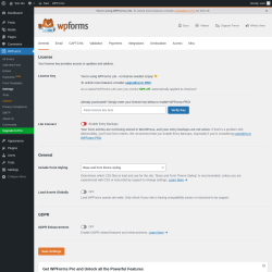 Page screenshot: WPForms → Settings