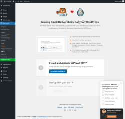 Page screenshot: WPForms → SMTP