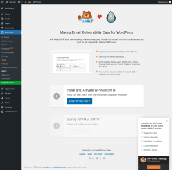 Page screenshot: WPForms &rarr; SMTP