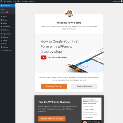 Page screenshot: Welcome to WPForms &lsaquo; Test site &mdash; WordPress