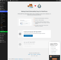 Page screenshot: WPForms &rarr; SMTP