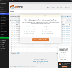 Page screenshot: WPForms &rarr; Entries