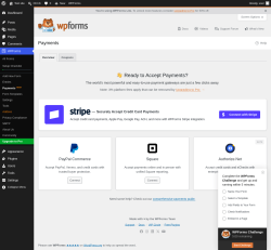 Page screenshot: WPForms &rarr; Payments&nbsp;NEW!