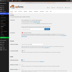Page screenshot: WPForms &rarr; Settings