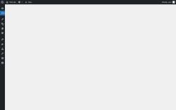 Page screenshot: WPIDE