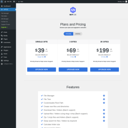 Page screenshot: WPIDE &rarr; Upgrade&nbsp;&nbsp;➤