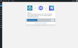 Page screenshot: WPIDE