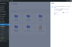 Page screenshot: WPIDE