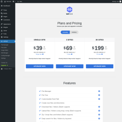 Page screenshot: WPIDE → Upgrade  ➤