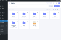 Page screenshot: WPIDE
