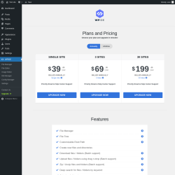 Page screenshot: WPIDE &rarr; Upgrade&nbsp;&nbsp;➤