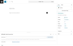 Page screenshot: Add Post ‹ Test site — WordPress