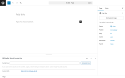 Page screenshot: Add Page ‹ Test site — WordPress