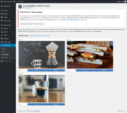 Page screenshot:  WP/LR Sync &rarr; Consolidate