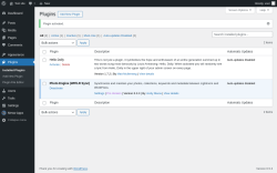 Page screenshot: Plugins &lsaquo; Test site &mdash; WordPress