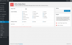 Page screenshot: Settings &rarr; WPlyr