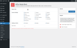 Page screenshot: Settings &rarr; WPlyr