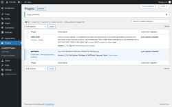 Page screenshot: Plugins ‹ Test site — WordPress