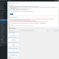 Page screenshot: WPPizza → · Reports
