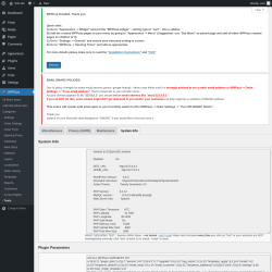 Page screenshot: WPPizza → · Tools → System Info