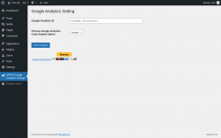 Page screenshot: WPPM Google Analytics Settings