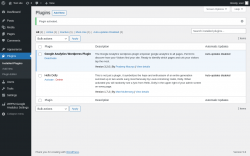 Page screenshot: Plugins &lsaquo; Test site &mdash; WordPress